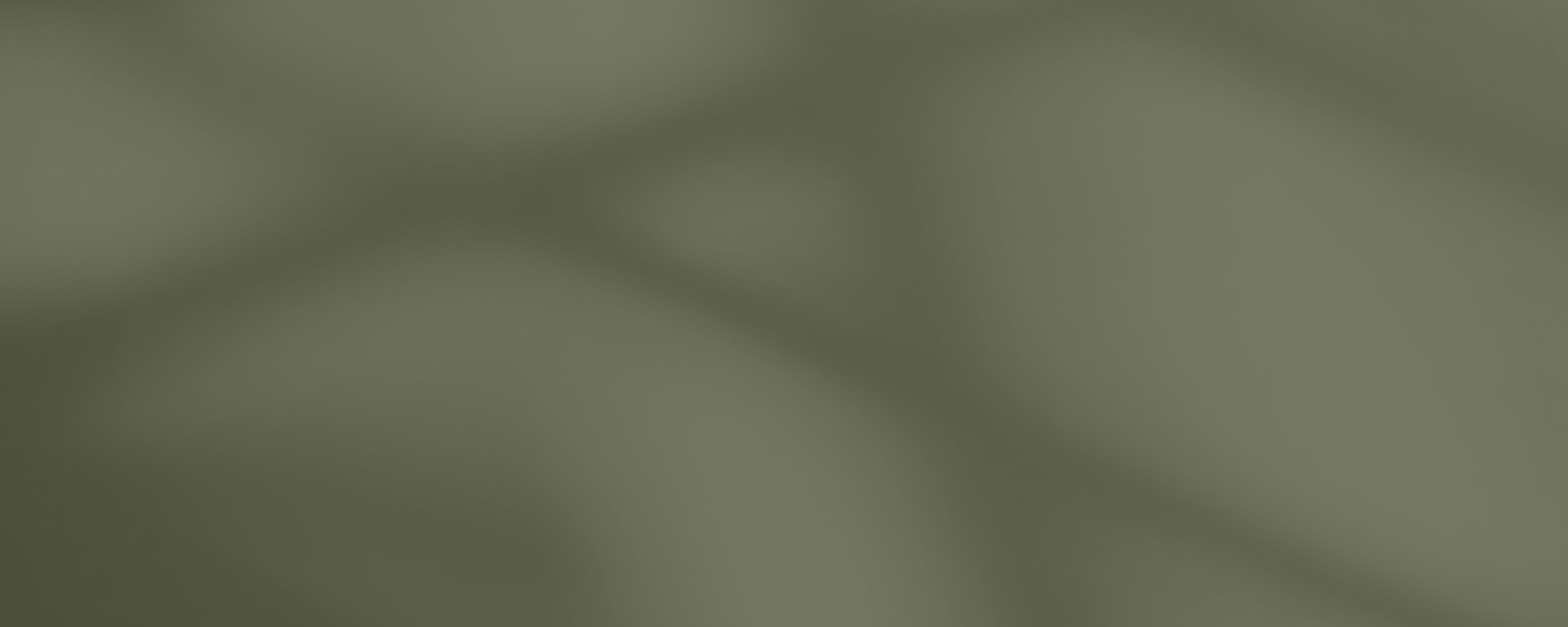 Form Background