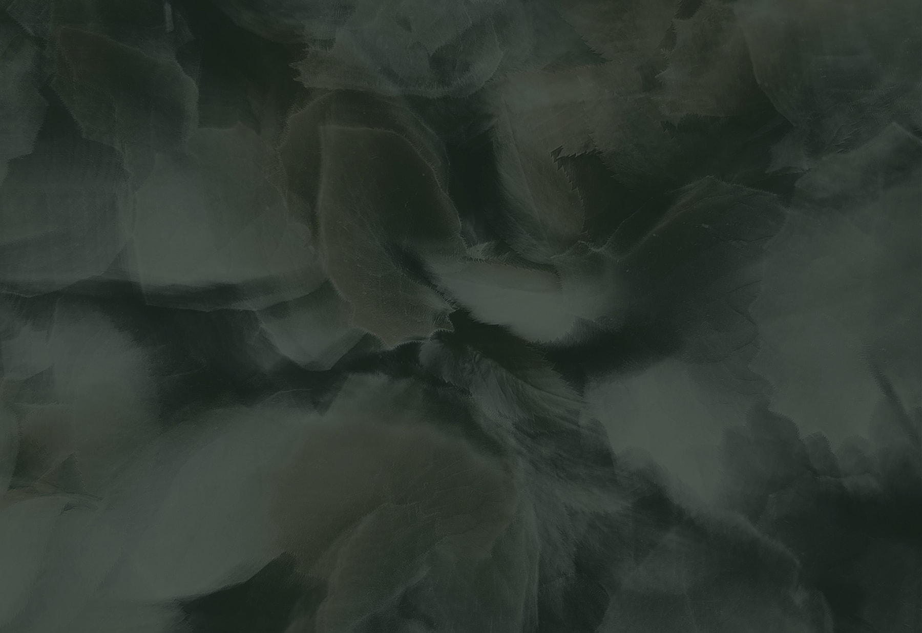 Abstract dark green textured background.