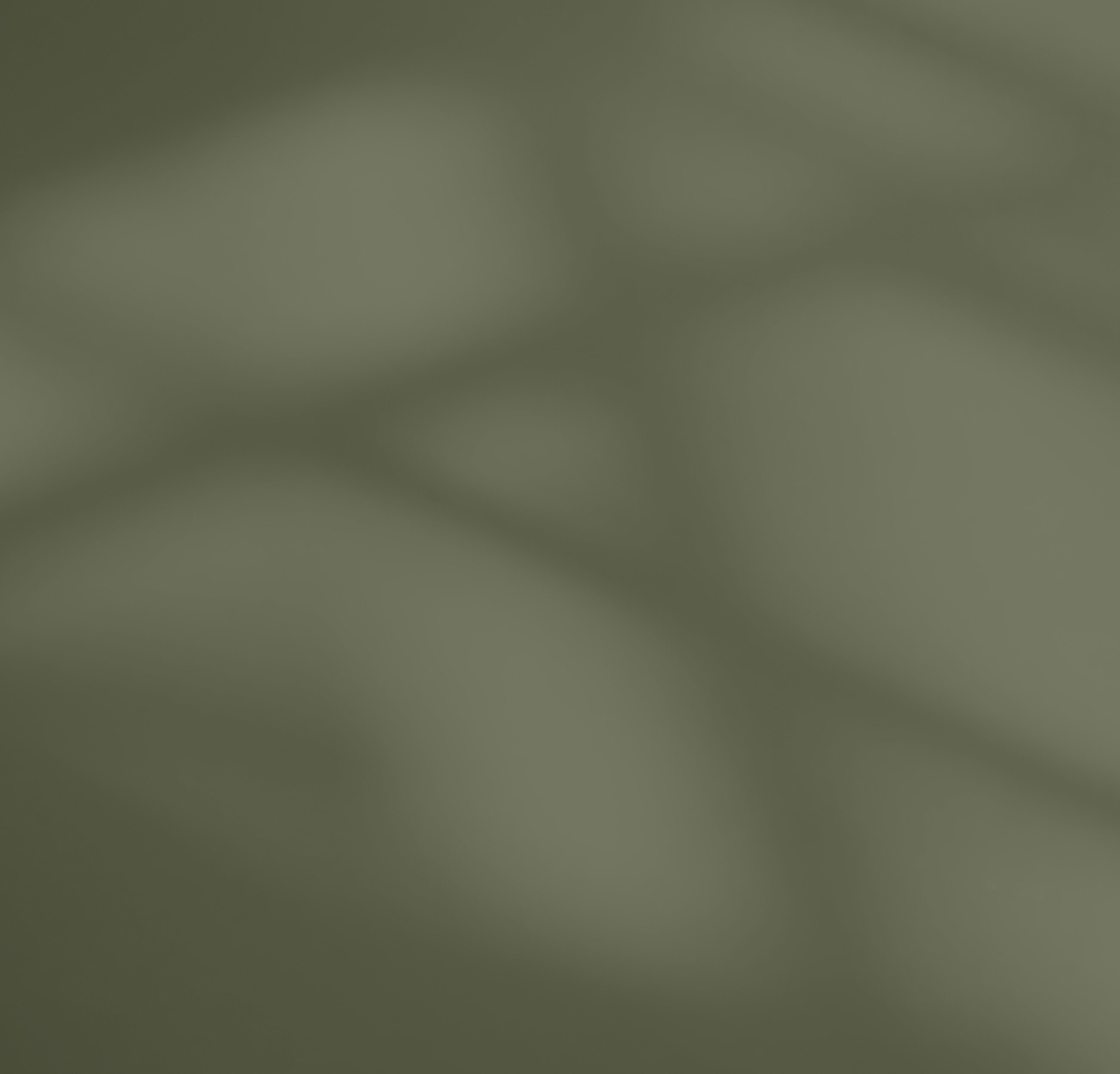 Abstract green surface with soft shadows.